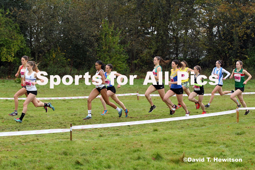 Junior women, National Cross Country Relay Champs., Berry Hill Park, Mansfield.  Photo: David T. Hewitson/Sports for All Pics